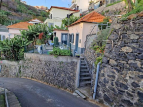 House in Camara de Lobos